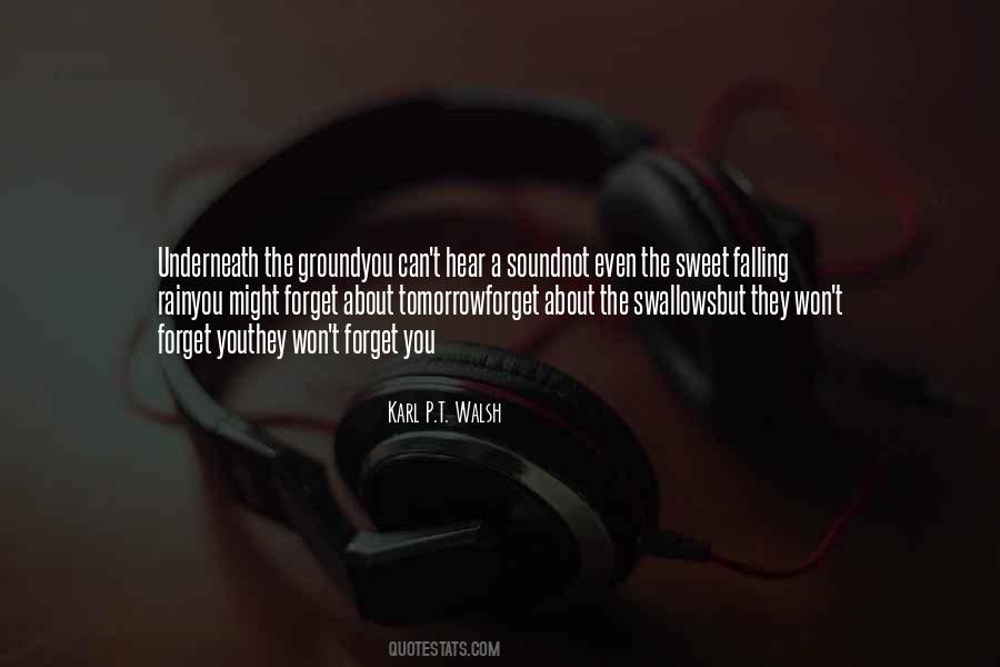 Karl P.T. Walsh Quotes #140271 Karl P.T. Walsh Quotes #140271