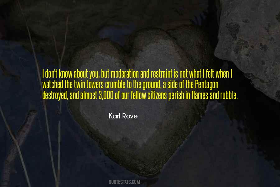 Karl Rove Quotes #1190097