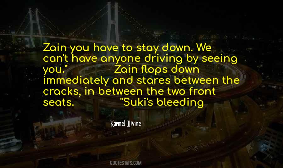 Karmel Divine Quotes #269529 Karmel Divine Quotes #269529