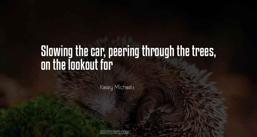 Kasey Michaels Quotes #106361