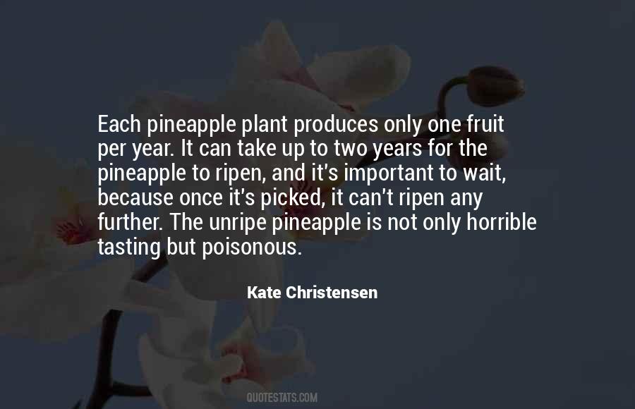 Kate Christensen Quotes #145649