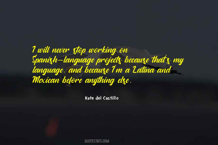 Kate Del Castillo Quotes #233610