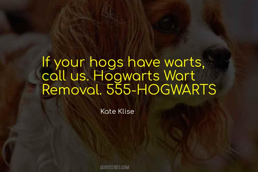 Kate Klise Quotes #999841