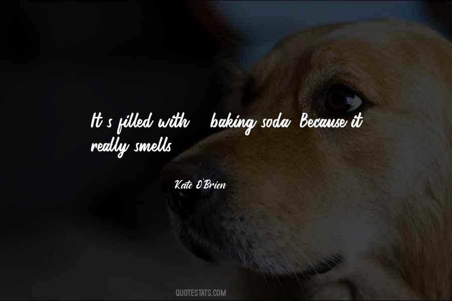 Kate O'Brien Quotes #1597826