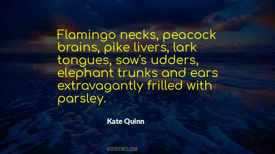 Kate Quinn Quotes #1351395