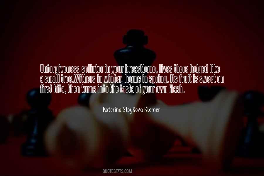 Katerina Stoykova Klemer Quotes #936440