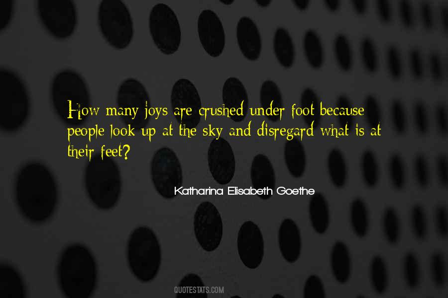 Katharina Elisabeth Goethe Quotes #493662