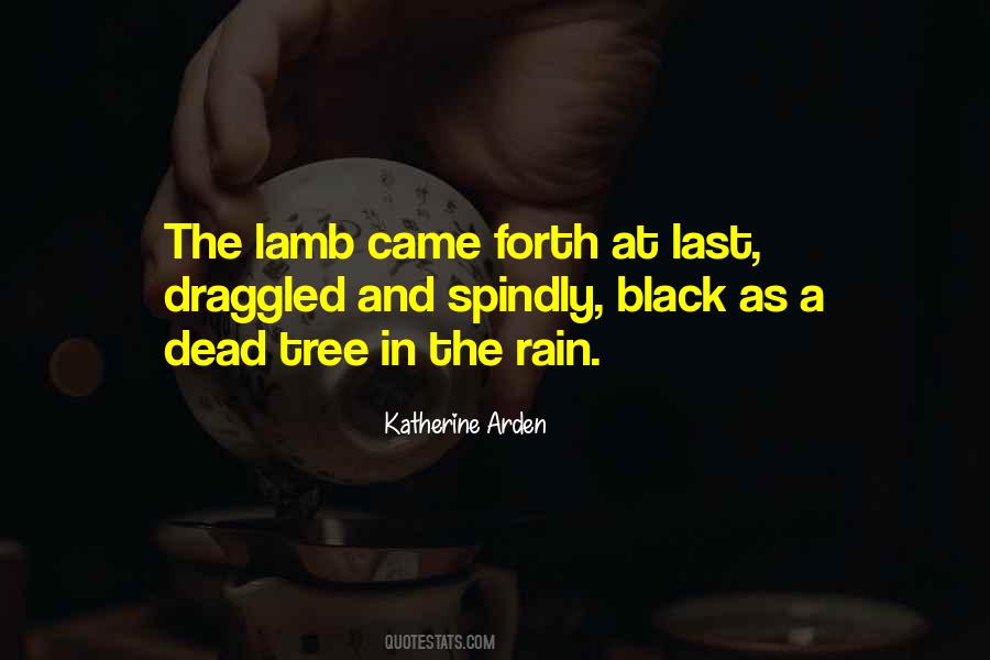 Katherine Arden Quotes #1645859