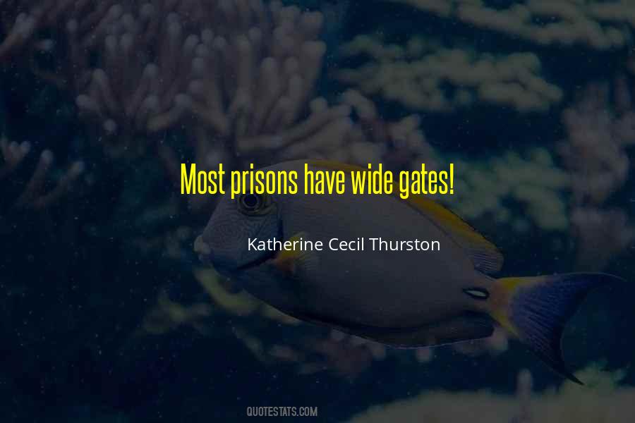 Katherine Cecil Thurston Quotes #1548682