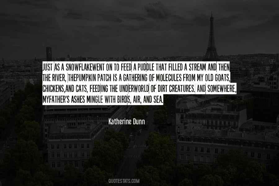 Katherine Dunn Quotes #198883