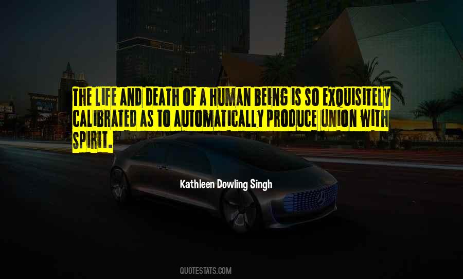 Kathleen Dowling Singh Quotes #1244029