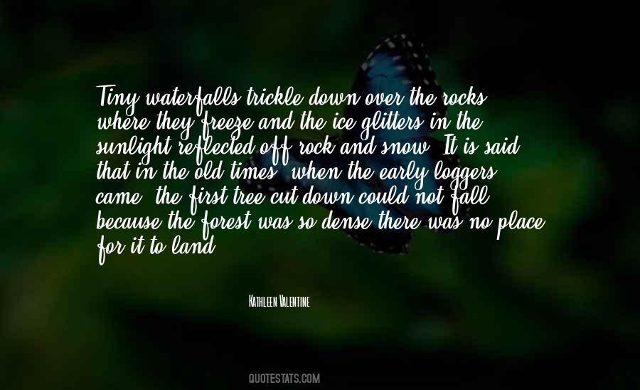 Kathleen Valentine Quotes #1265037