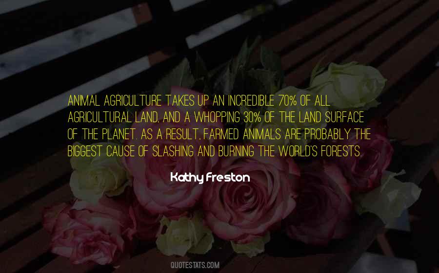 Kathy Freston Quotes #1514685