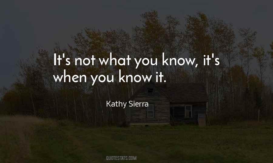 Kathy Sierra Quotes #1835992