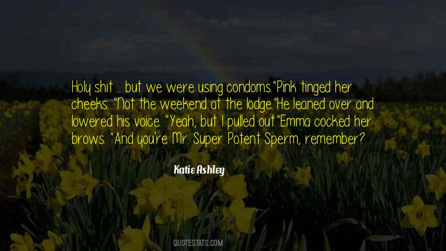Katie Ashley Quotes #1813482
