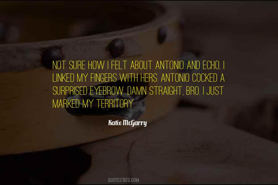 Katie McGarry Quotes #109192