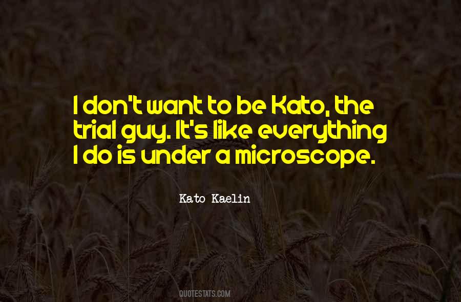 Kato Kaelin Quotes #249440
