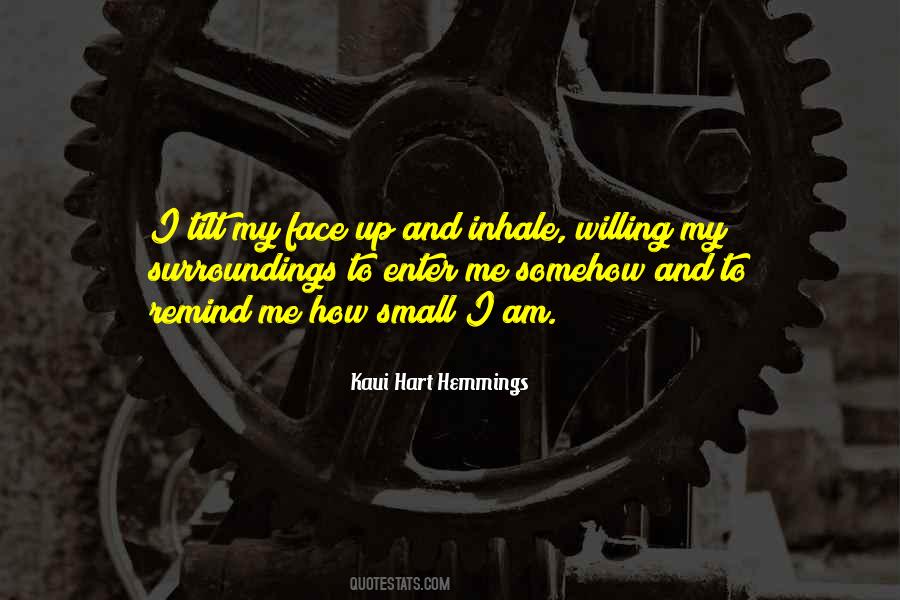Kaui Hart Hemmings Quotes #1143575