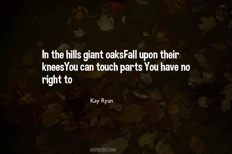 Kay Ryan Quotes #19916