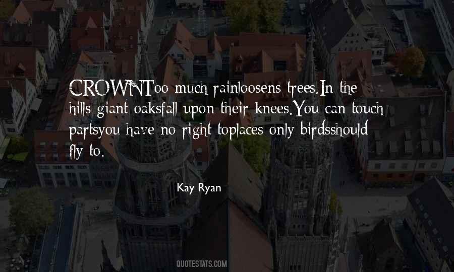 Kay Ryan Quotes #49068