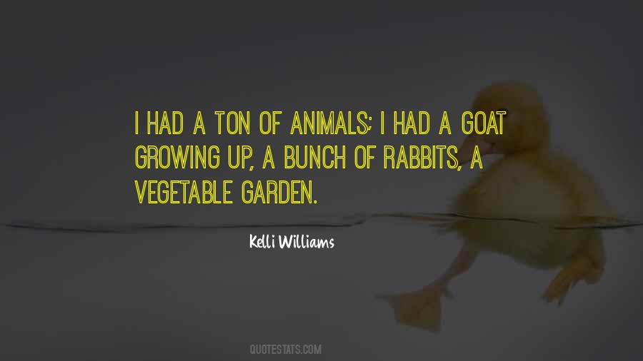 Kelli Williams Quotes #703812