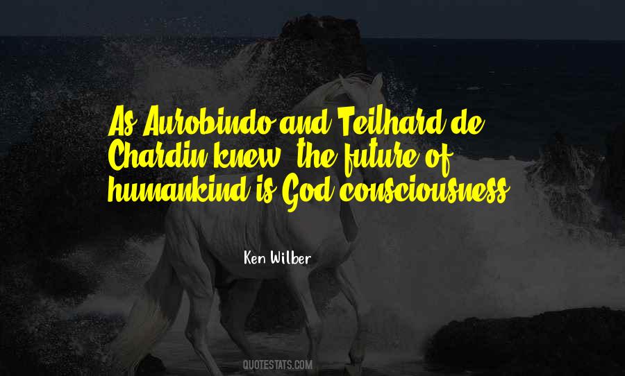 Ken Wilber Quotes #1073421