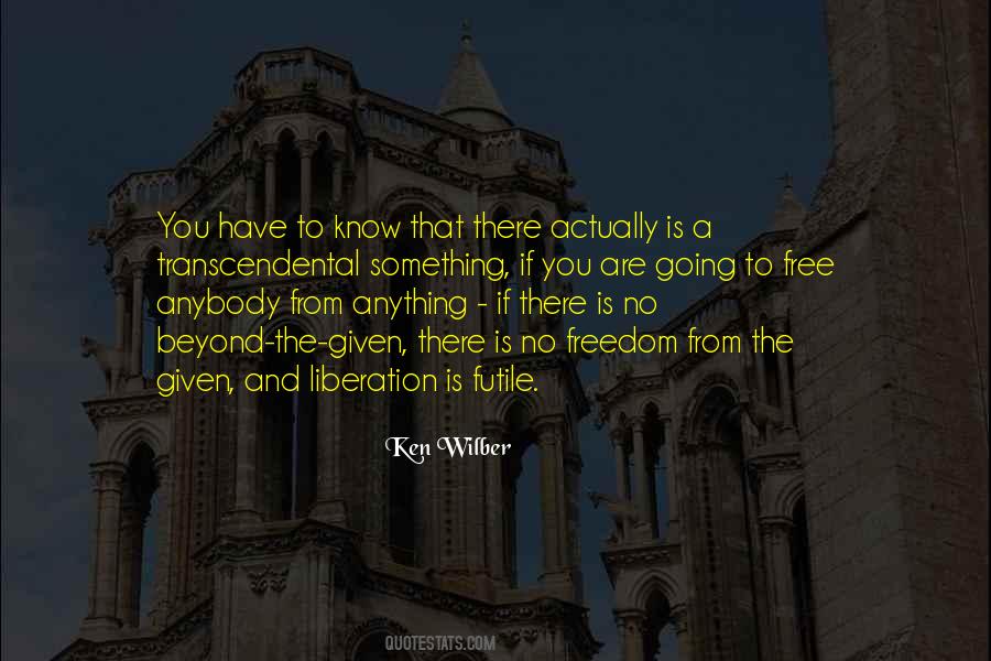 Ken Wilber Quotes #1220963