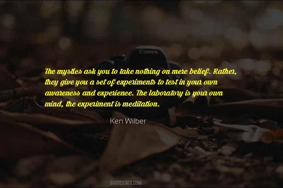 Ken Wilber Quotes #1347279