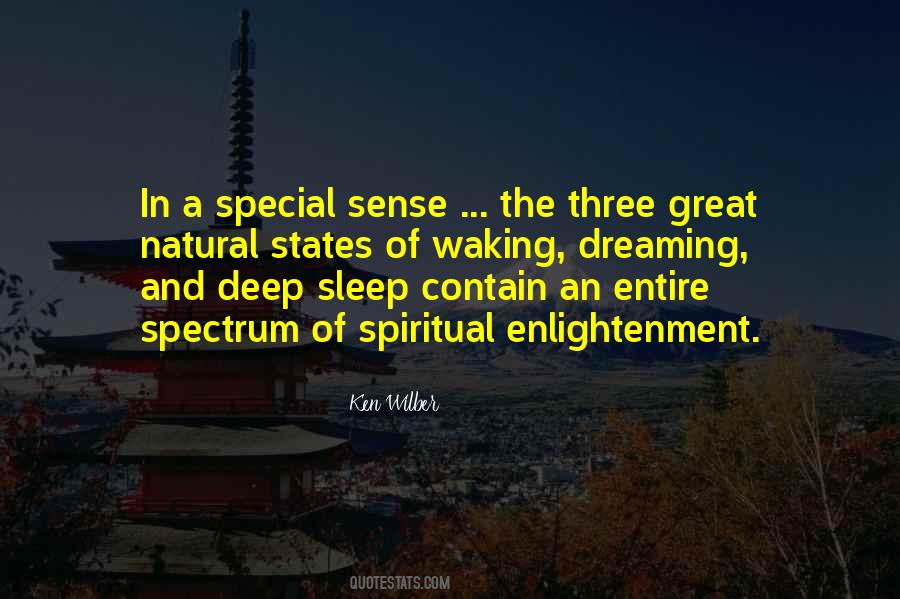 Ken Wilber Quotes #1525651