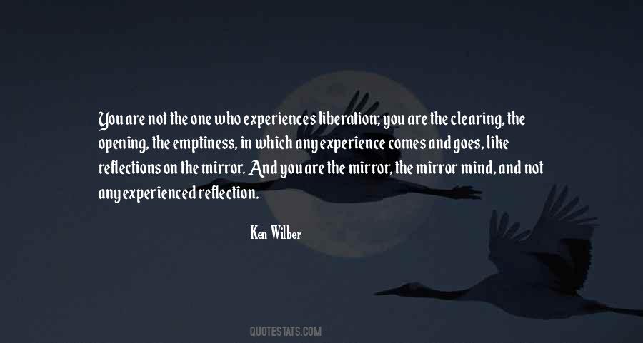 Ken Wilber Quotes #522804