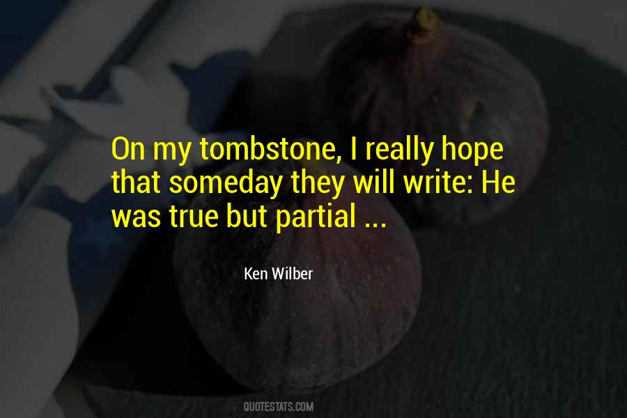 Ken Wilber Quotes #717529