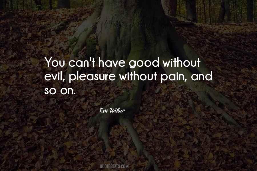 Ken Wilber Quotes #775392