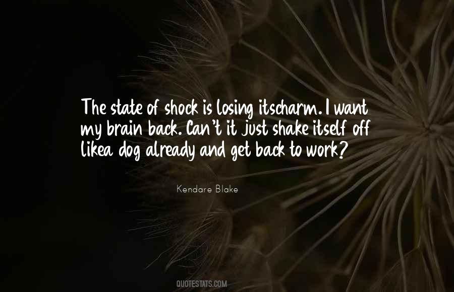 Kendare Blake Quotes #1489770