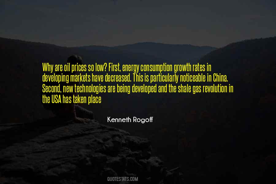 Kenneth Rogoff Quotes #1401709