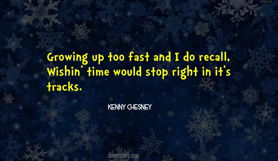 Kenny Chesney Quotes #312673