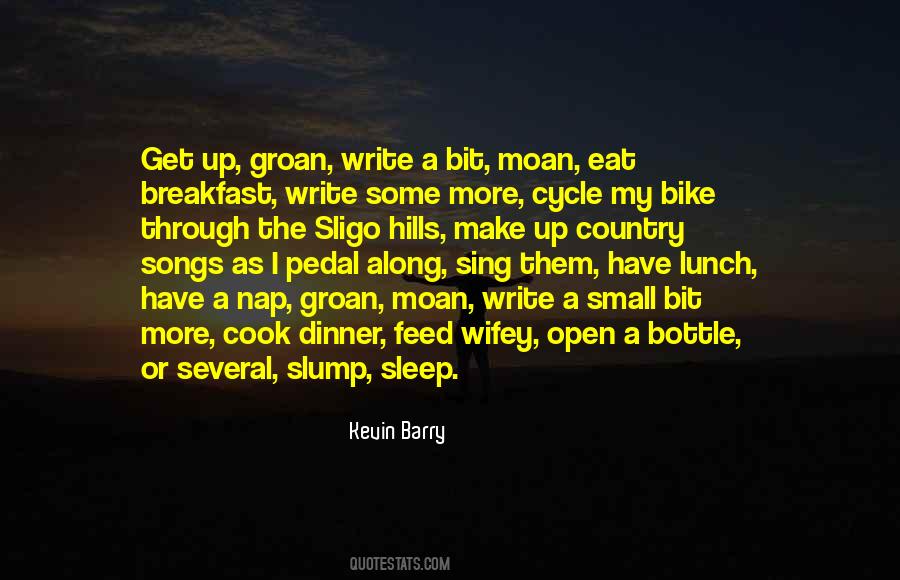 Kevin Barry Quotes #840765