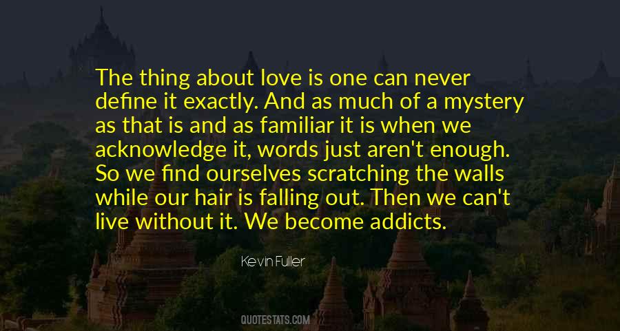 Kevin Fuller Quotes #40347