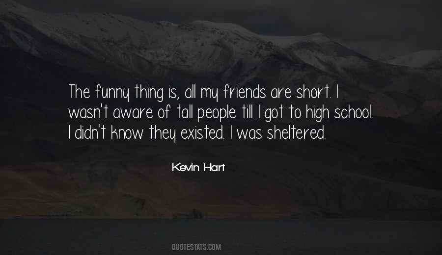 Kevin Hart Quotes #267341