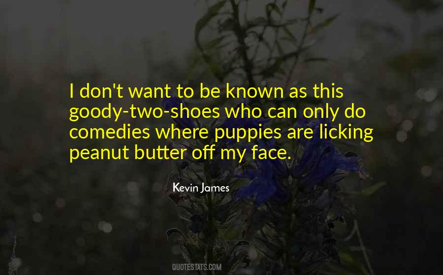 Kevin James Quotes #460689