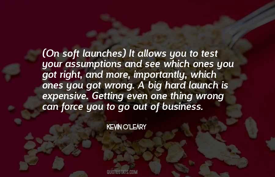 Kevin O'Leary Quotes #818479