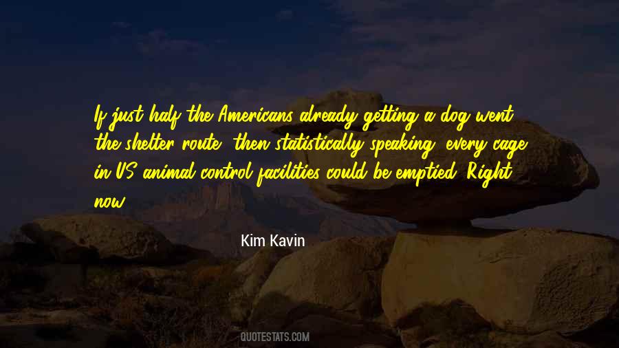 Kim Kavin Quotes #958192