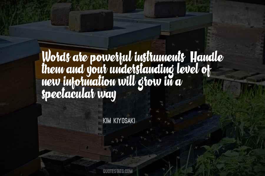 Kim Kiyosaki Quotes #28629