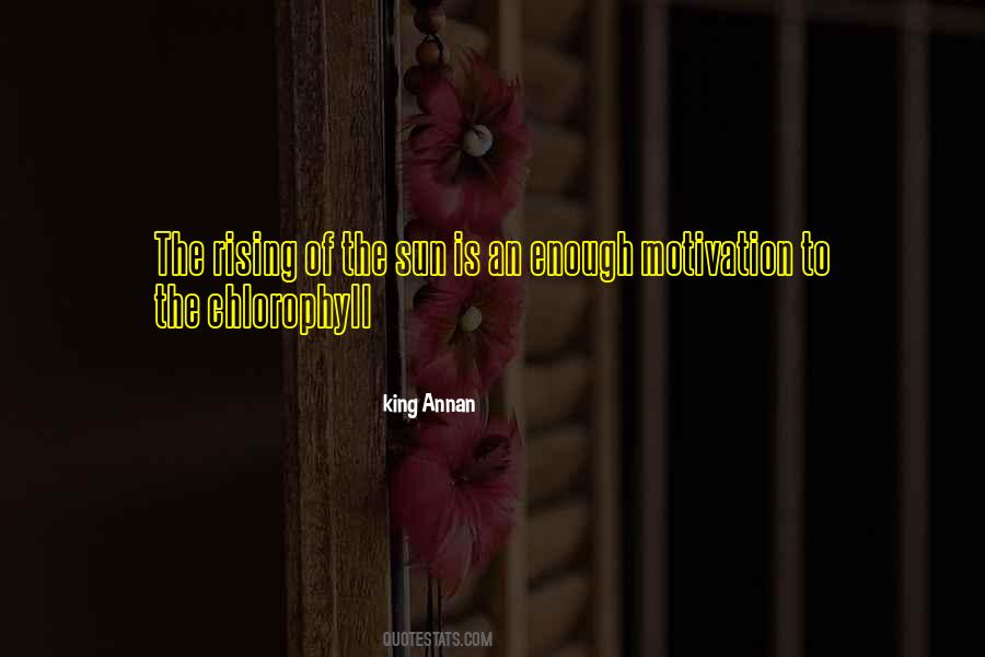 King Annan Quotes #808622