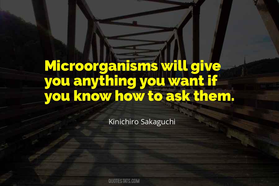 Kinichiro Sakaguchi Quotes #785469