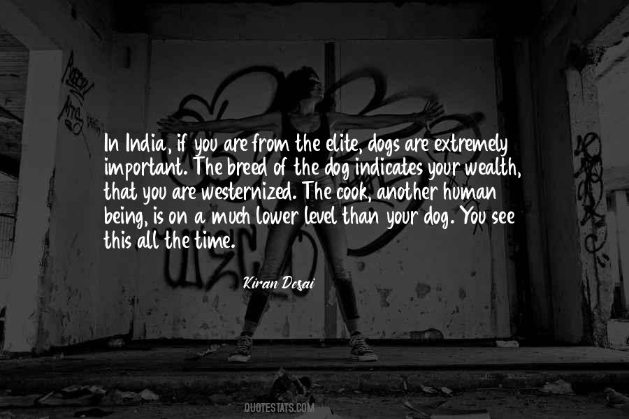 Kiran Desai Quotes #215261