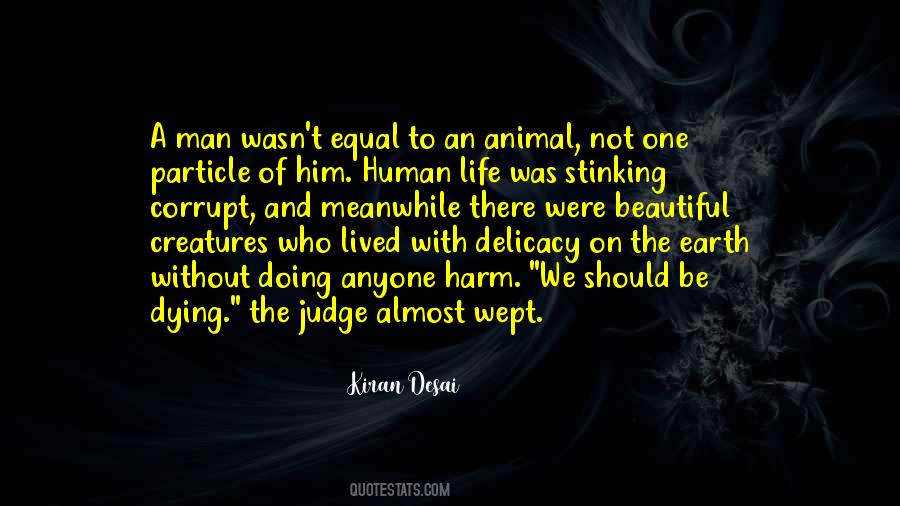Kiran Desai Quotes #71928