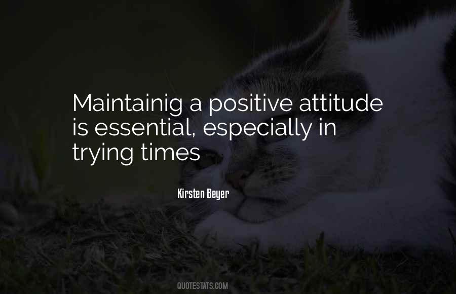 Kirsten Beyer Quotes #1593747