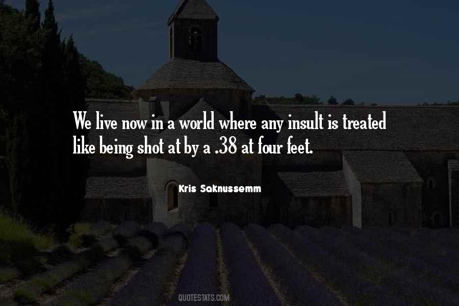 Kris Saknussemm Quotes #548654