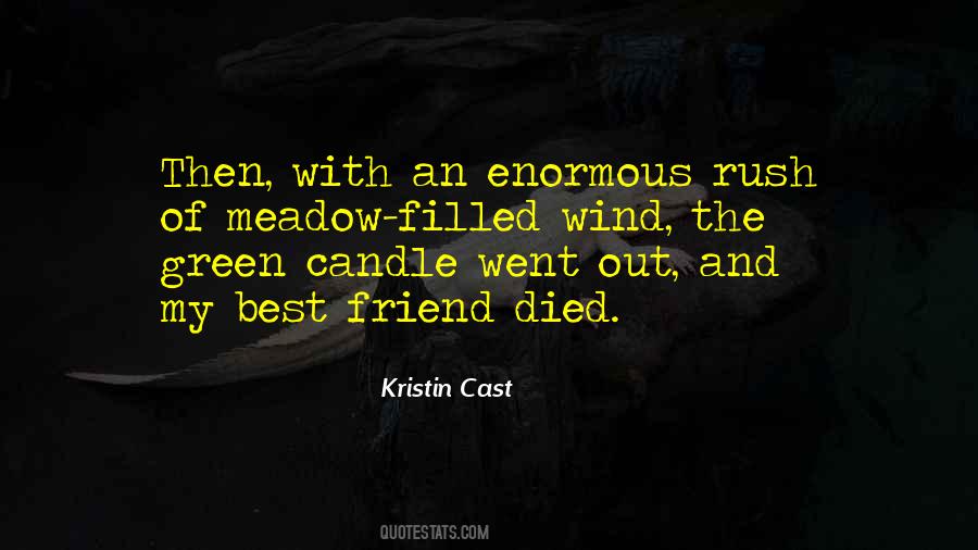 Kristin Cast Quotes #1244248