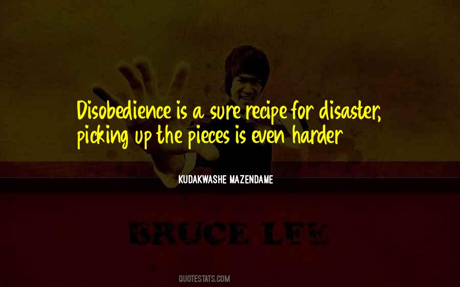 Kudakwashe Mazendame Quotes #116541